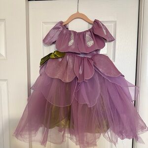 Pottery Barn Kids Fairy Costume (Purple and Green)